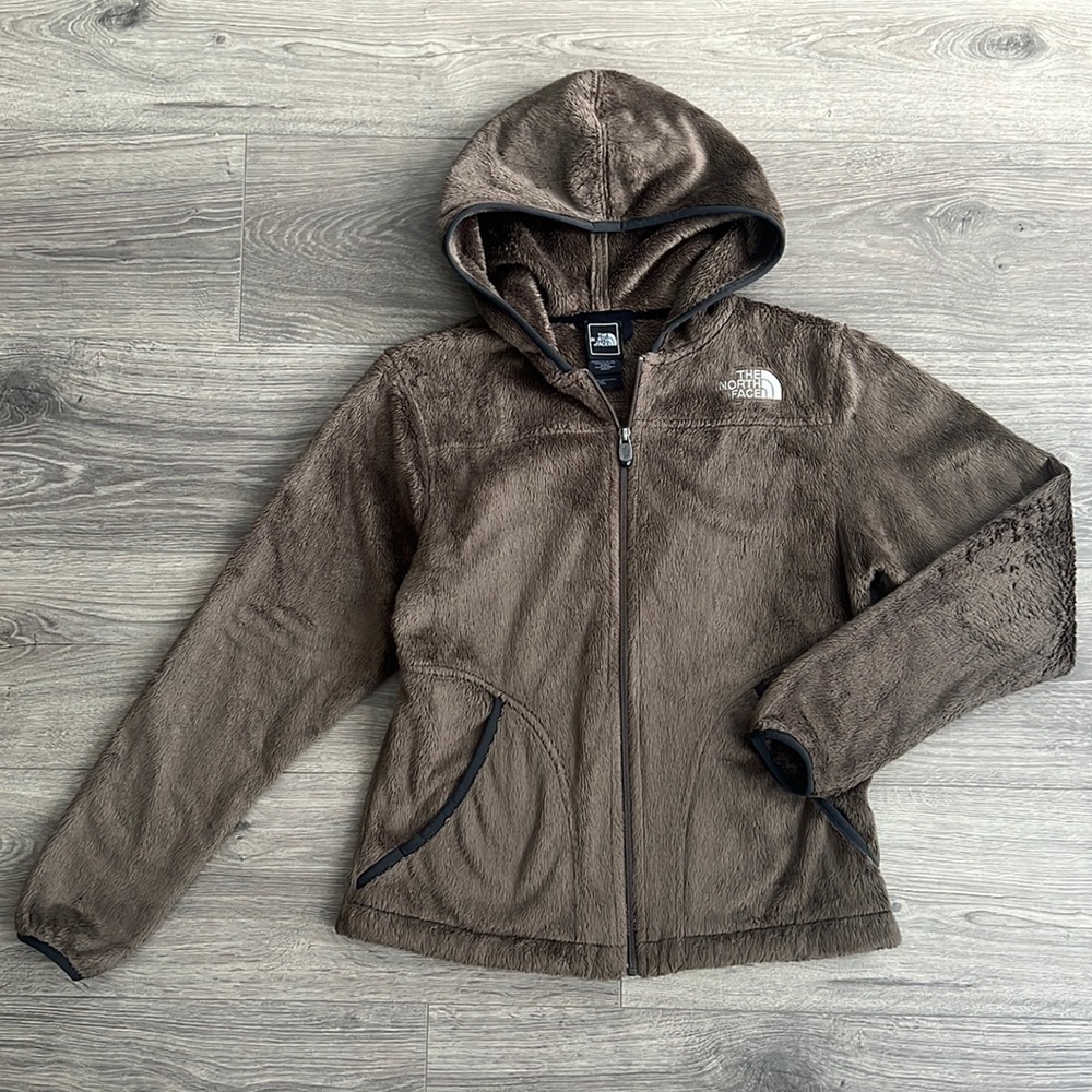 The North Face Brown Hooded Sweatshirt